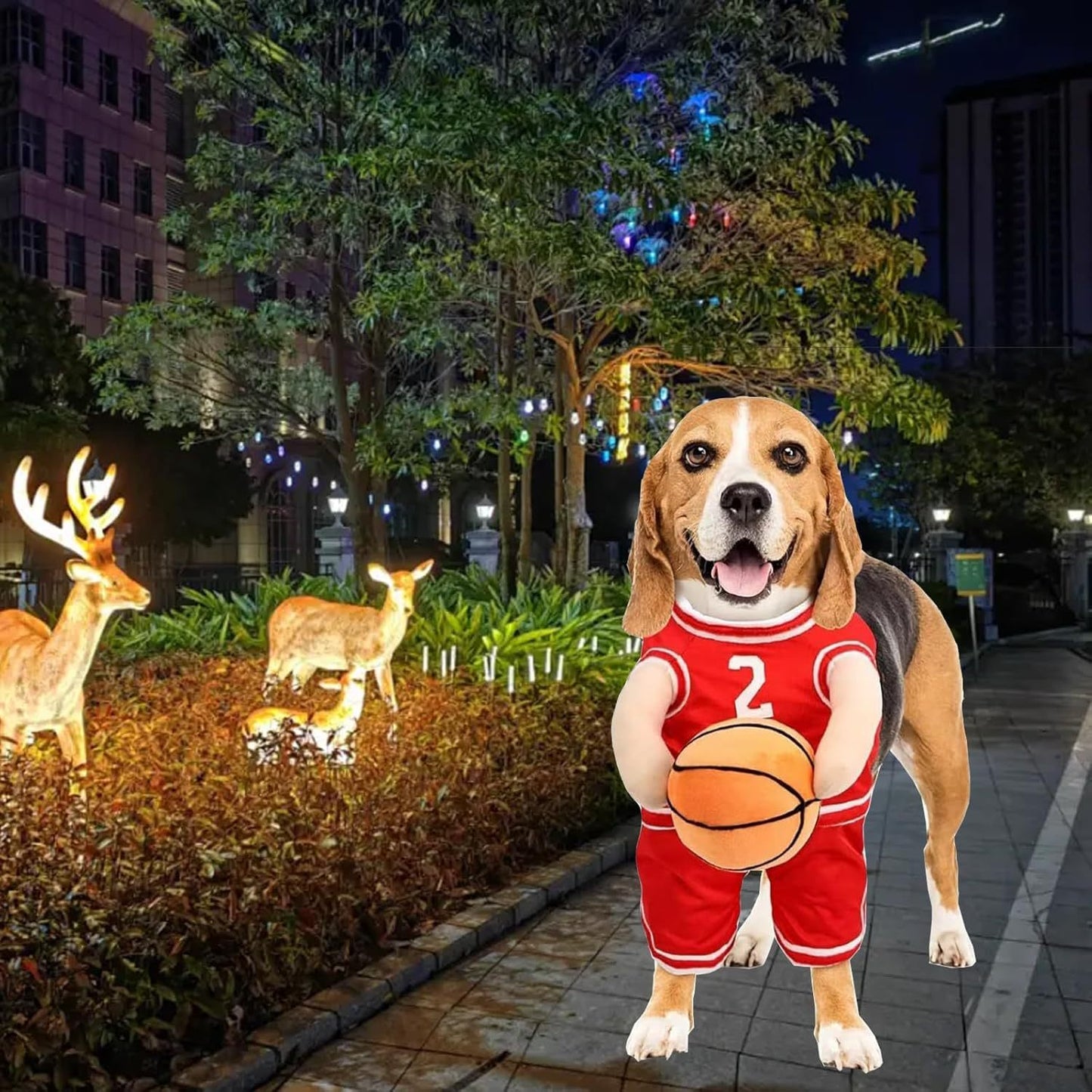 Halloween Premium Funny Dog/Cat Basketballer Costume