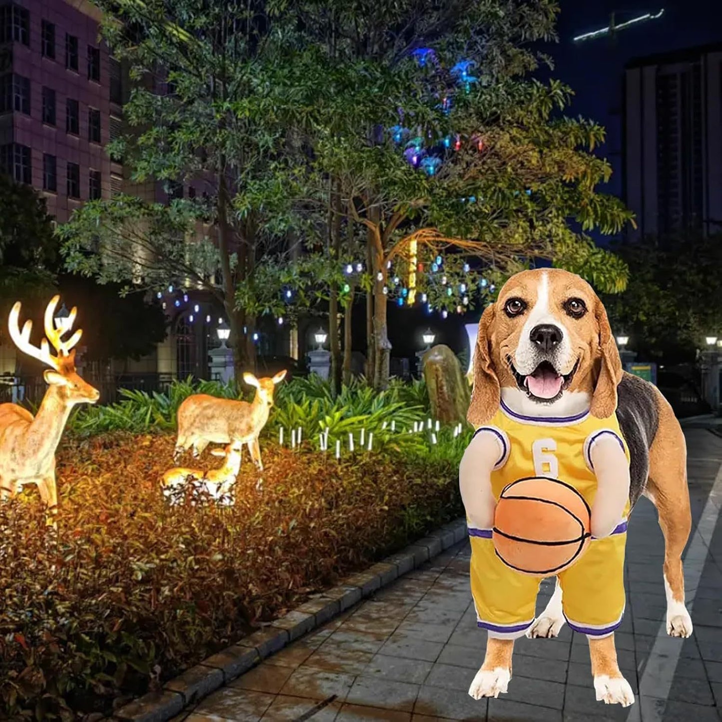 Halloween Premium Funny Dog/Cat Basketballer Costume