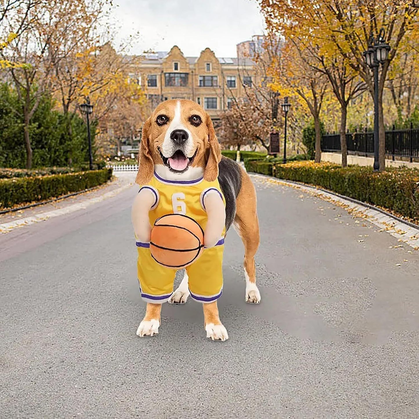 Halloween Premium Funny Dog/Cat Basketballer Costume