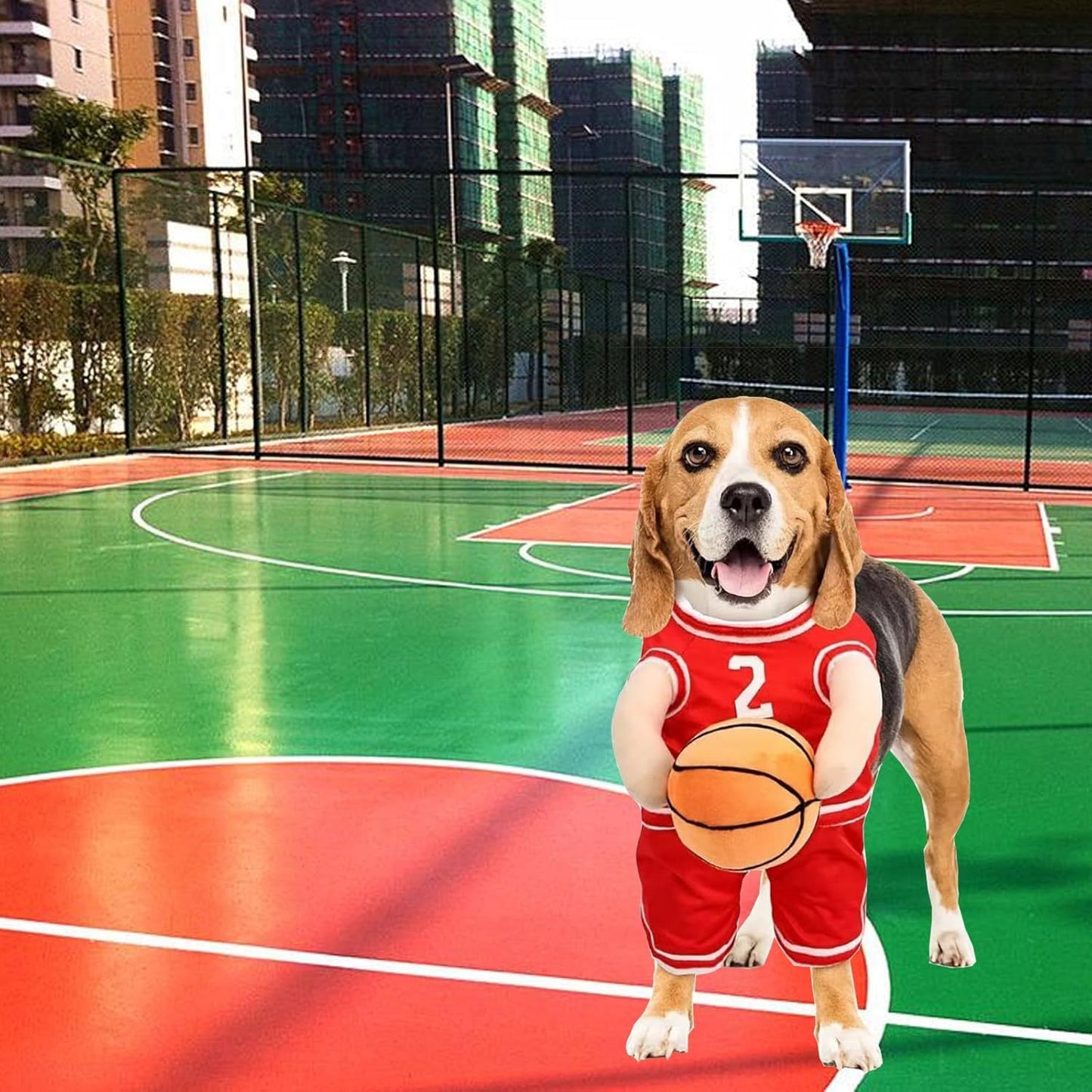 Halloween Premium Funny Dog/Cat Basketballer Costume