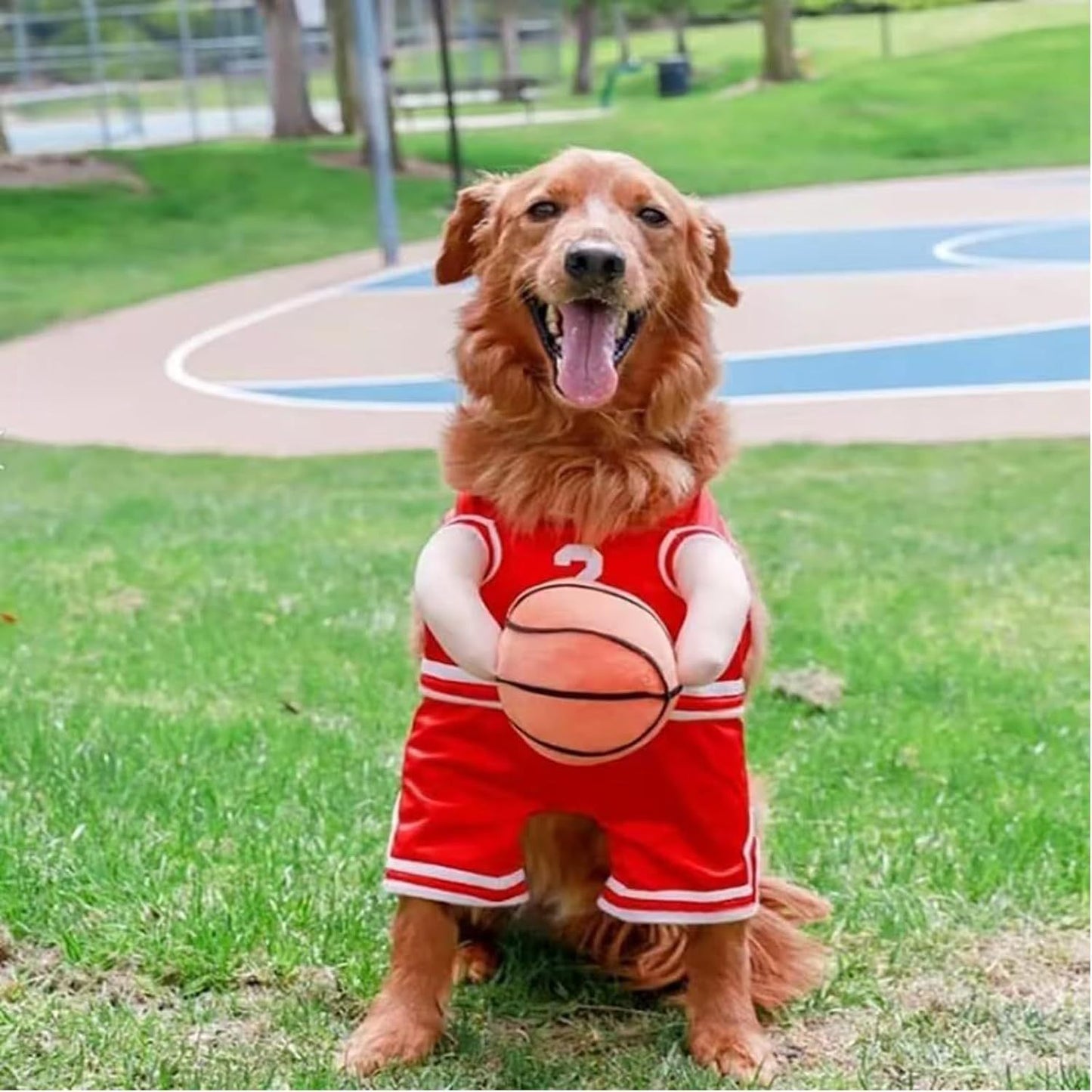 Halloween Premium Funny Dog/Cat Basketballer Costume