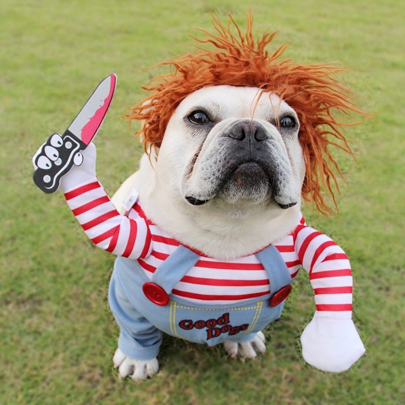 Halloween Funny Premium Killer Dog Costume