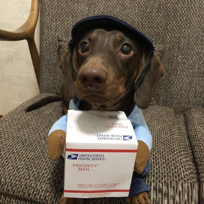 Halloween Premium Funny Cat/Dog Mailman Costume