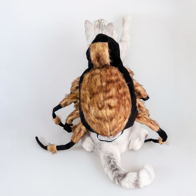 Halloween Premium Cat/Dog Realistic Spider Costume