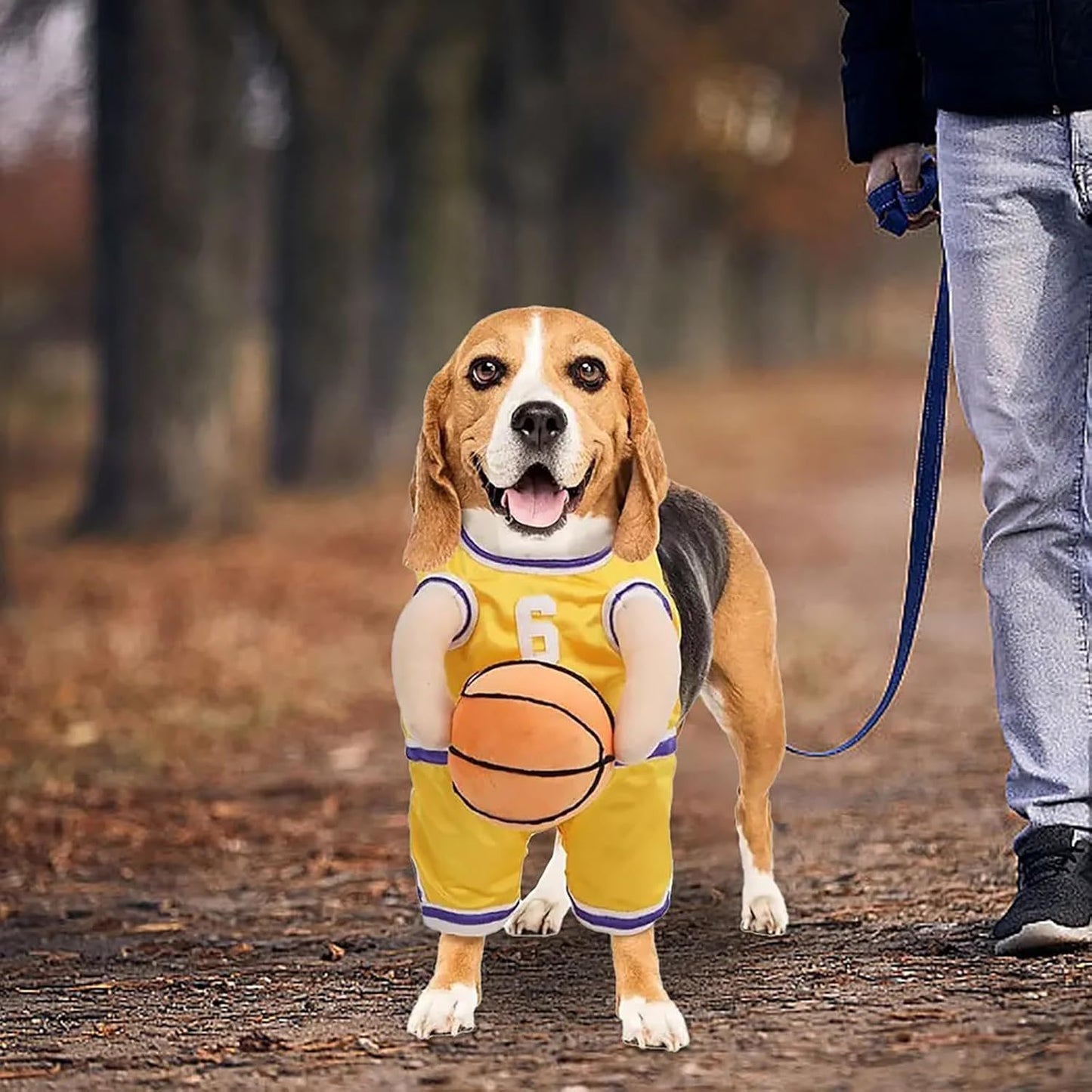 Halloween Premium Funny Dog/Cat Basketballer Costume