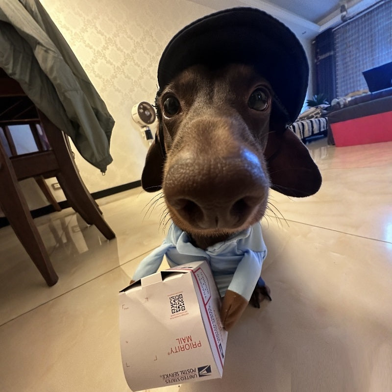 Halloween Premium Funny Cat/Dog Mailman Costume
