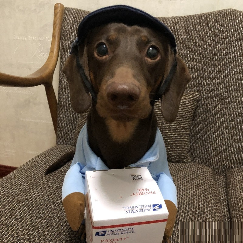 Halloween Premium Funny Cat/Dog Mailman Costume