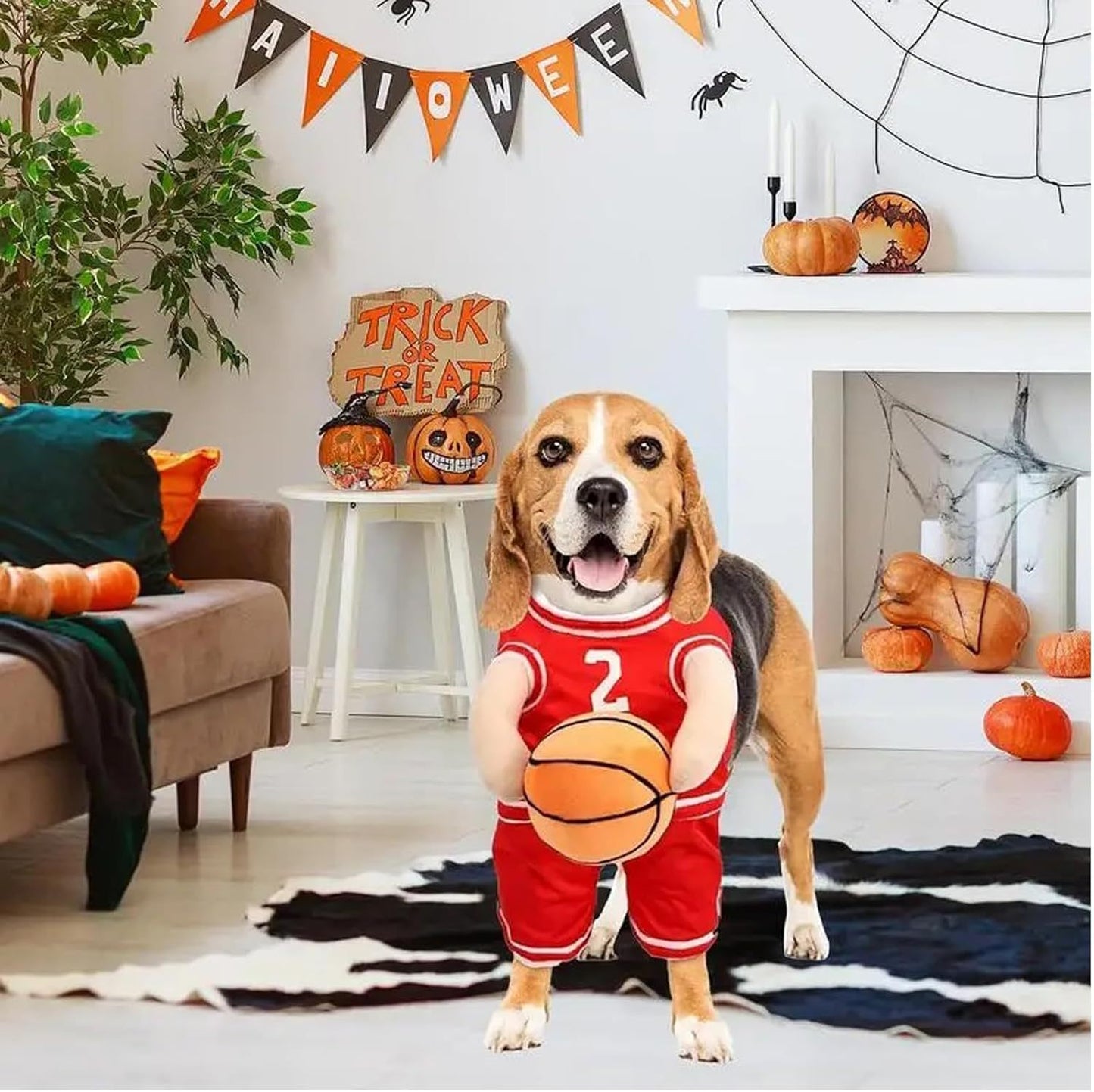 Halloween Premium Funny Dog/Cat Basketballer Costume