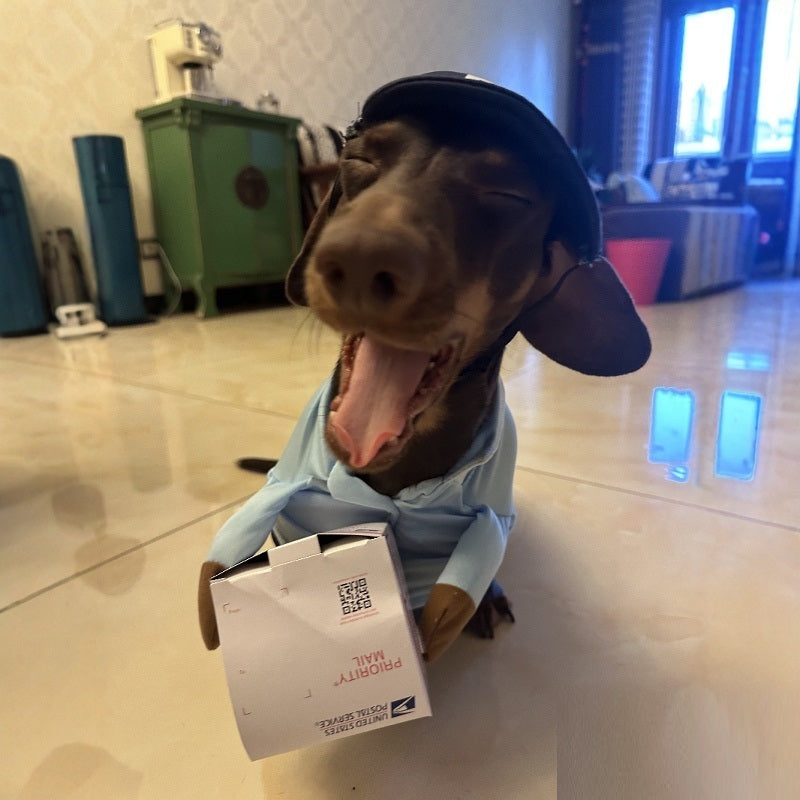 Halloween Premium Funny Cat/Dog Mailman Costume