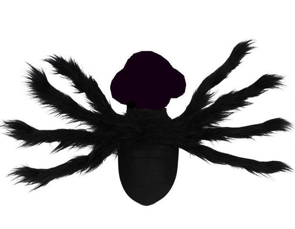 Halloween Bat Wings Cat/Dog Costume