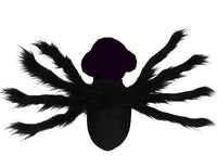 Halloween Bat Wings Cat/Dog Costume