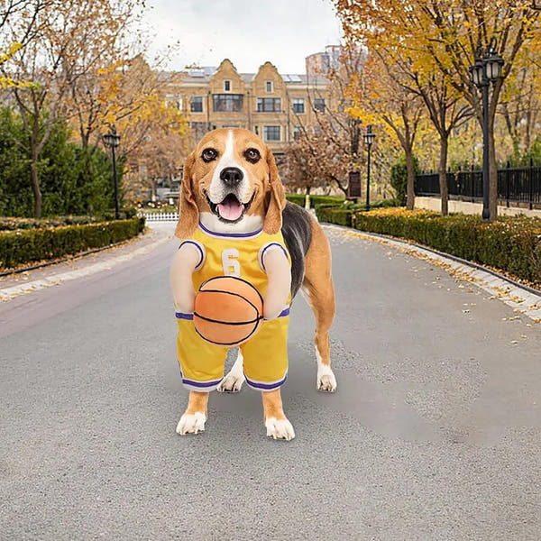 Halloween Premium Funny Dog/Cat Basketballer Costume