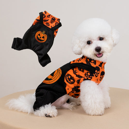 Halloween Pumpkin Dog Costume