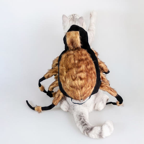 Halloween Premium Cat/Dog Realistic Spider Costume
