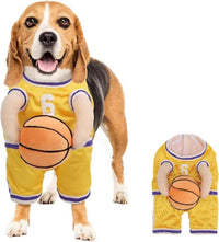 Halloween Premium Funny Dog/Cat Basketballer Costume