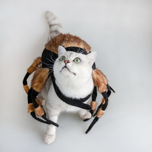 Halloween Premium Cat/Dog Realistic Spider Costume