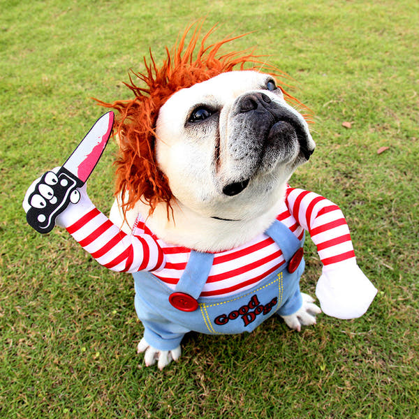 Halloween Funny Premium Killer Dog Costume