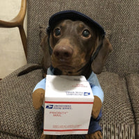 Halloween Premium Funny Cat/Dog Mailman Costume