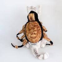 Halloween Premium Cat/Dog Realistic Spider Costume