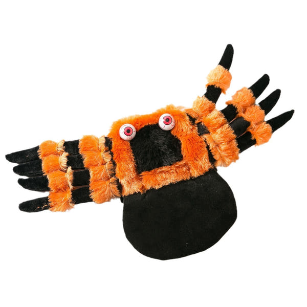 Halloween Spider Dog Costume