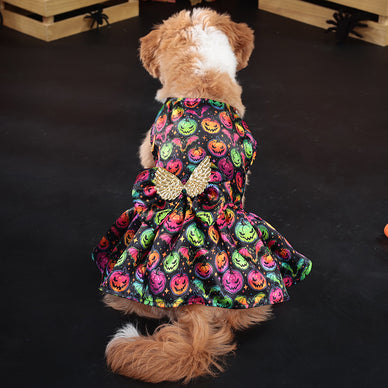 Transform Your Pet into a Festive Delight!
